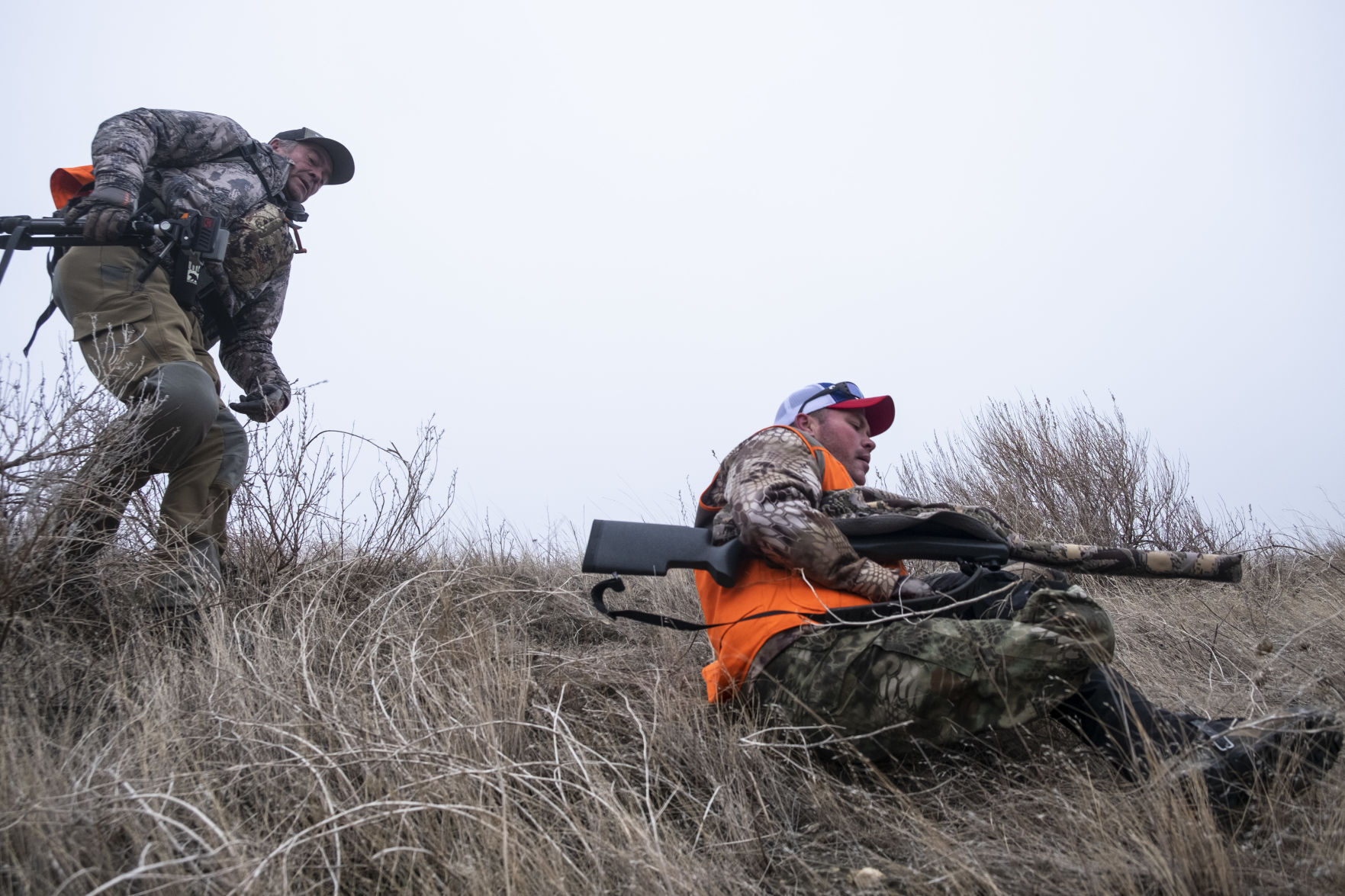 APR Bison Harvest